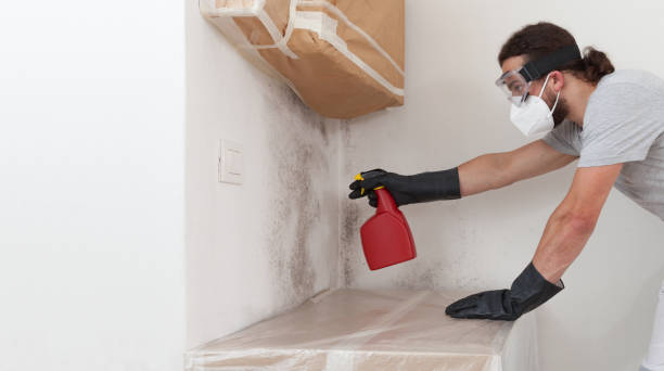 Professional Mold Testing technician working in Montvale, NJ